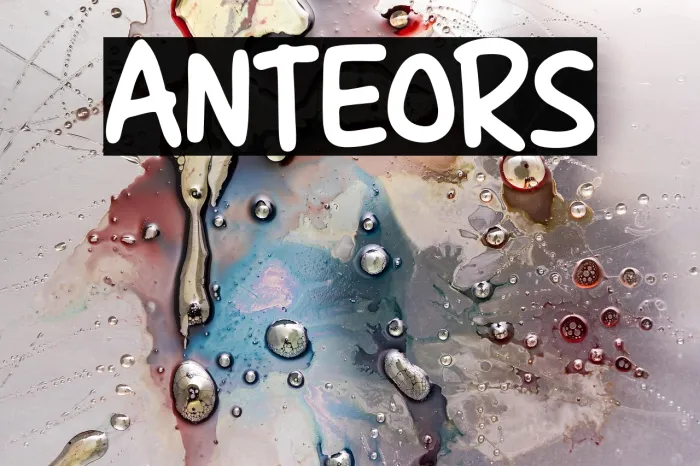 ANTEORS Example 3