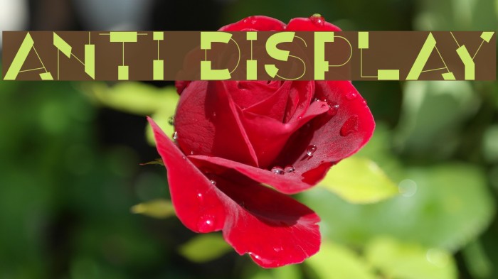ANTI Display Schriftart examples