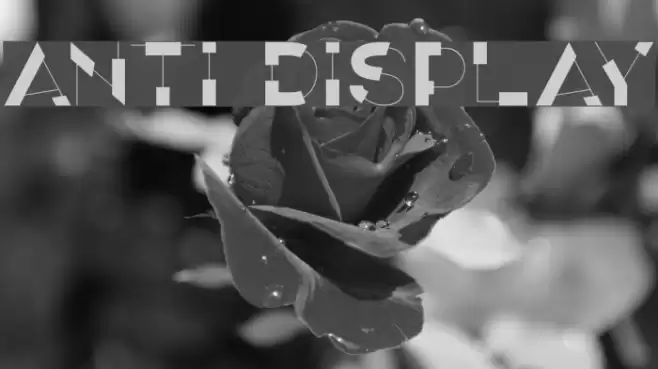 ANTI Display Font examples