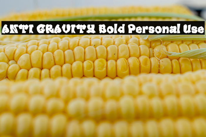 ANTI GRAVITY Bold Personal Use Example 1