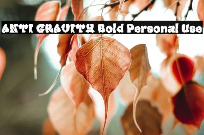 ANTI GRAVITY Bold Personal Use Example 2
