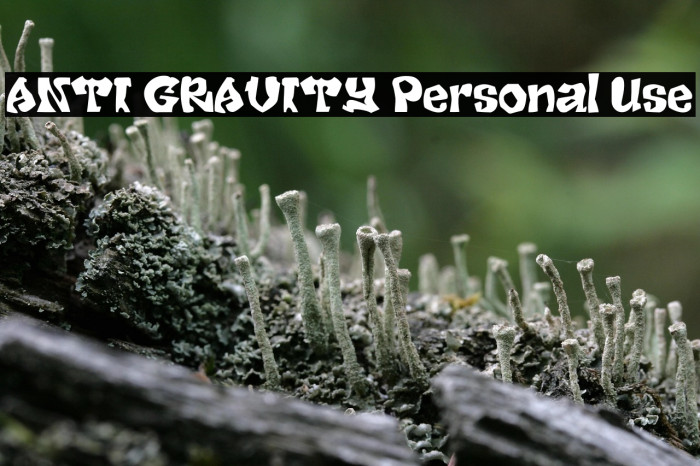 ANTI GRAVITY Personal Use Example 2