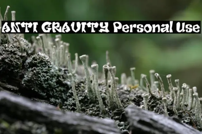 ANTI GRAVITY Personal Use Example 2