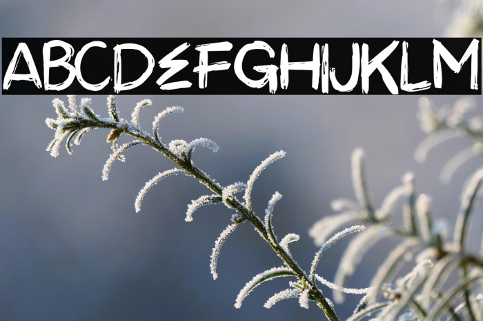 ANTREH - DEMO Example 3