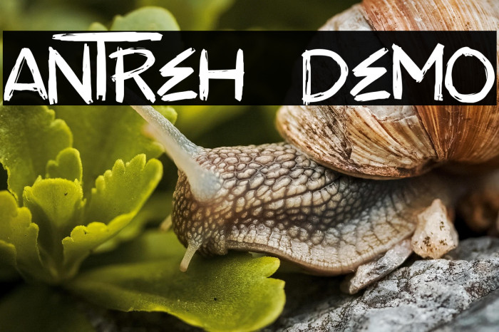 ANTREH - DEMO Example 2