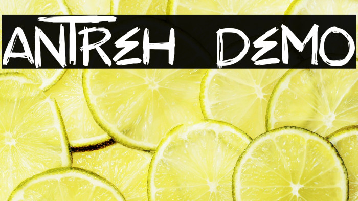 ANTREH - DEMO Example 3