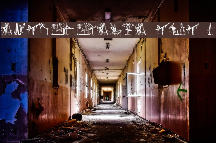 ANTROPOFAGIA TEST 1 Example 1