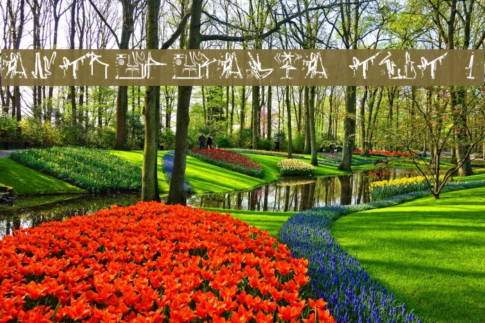 ANTROPOFAGIA TEST 1 Example 2