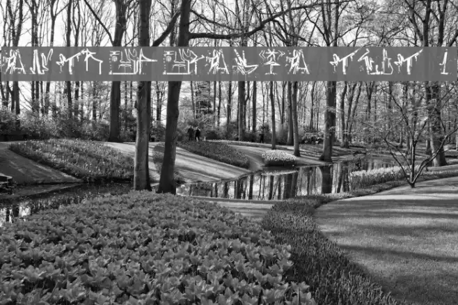 ANTROPOFAGIA TEST 1 Font examples