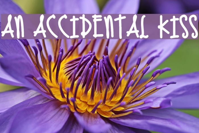 An Accidental Kiss Font examples