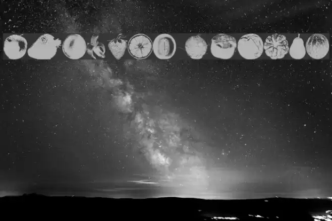 An Apple A Day Fruit Font Font examples