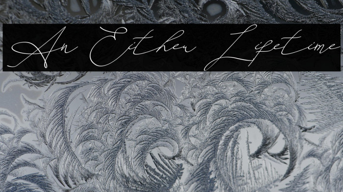 An Either Lifetime Example 1