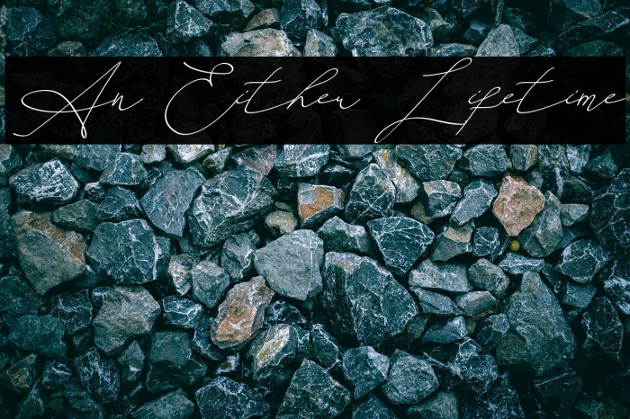 An Either Lifetime Example 2