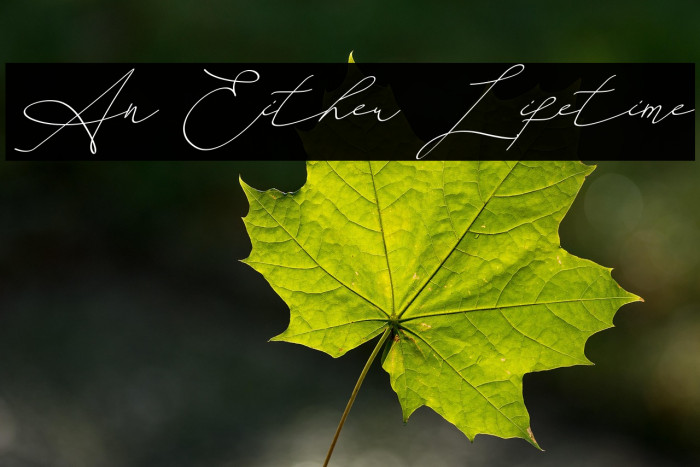 An Either Lifetime Example 3