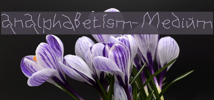 AnAlphaBetIsm-Medium Font examples