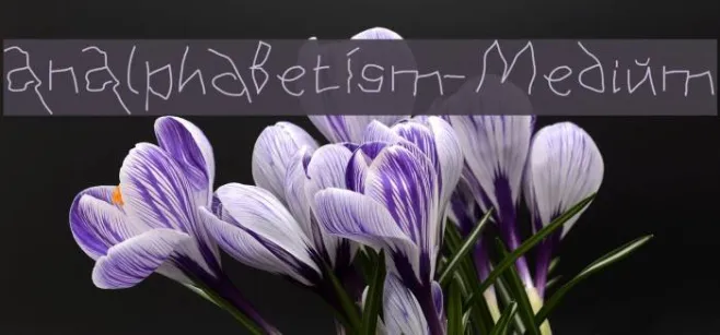 AnAlphaBetIsm-Medium Example 1