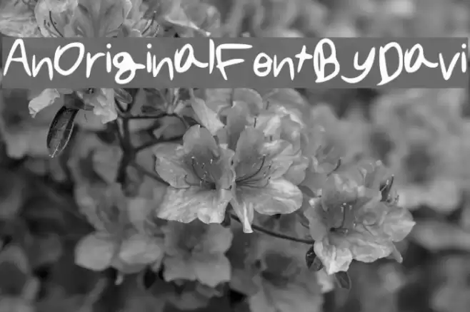An_Original_Font_By_Davi Font examples