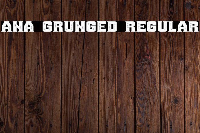 Ana Grunged Regular Example 1