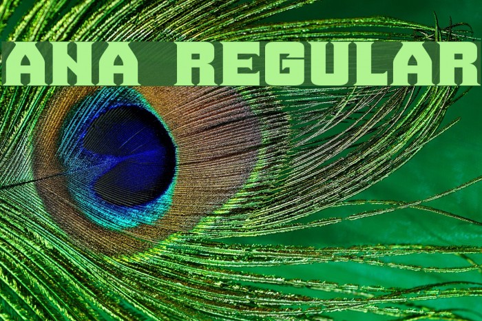 Ana Regular Font examples