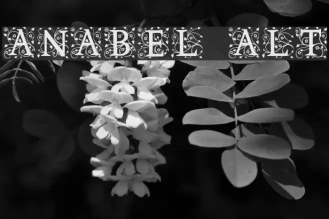 Anabel Alt Font examples