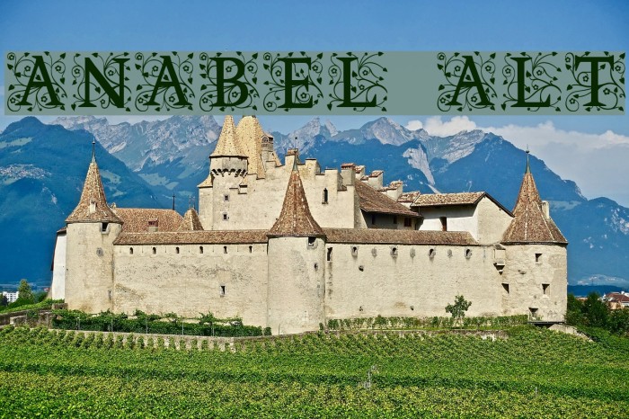 Anabel Alt Example 3