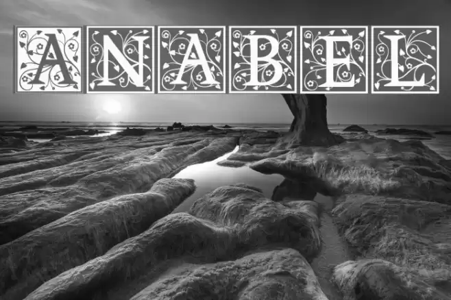 Anabel Font examples
