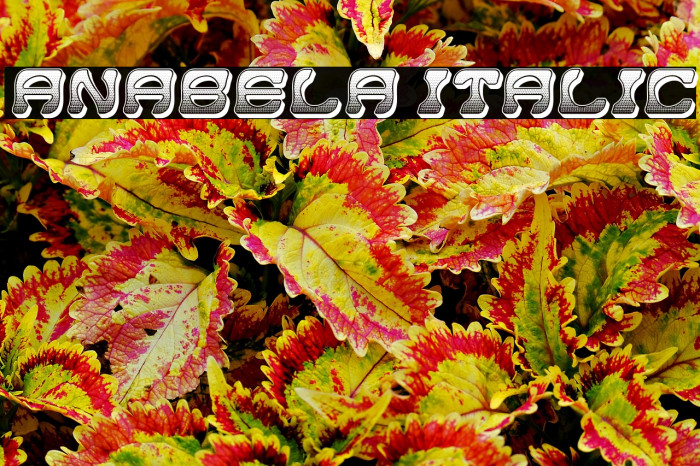 Anabela Italic Example 1