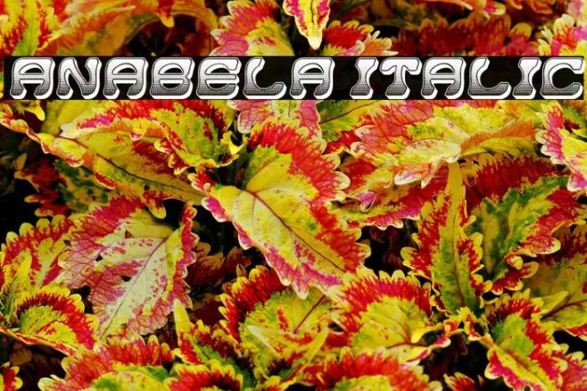 Anabela Italic Example 1