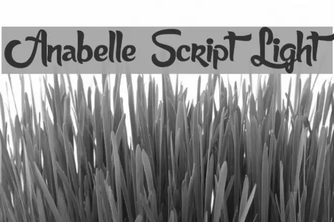 Anabelle Script Light Font examples