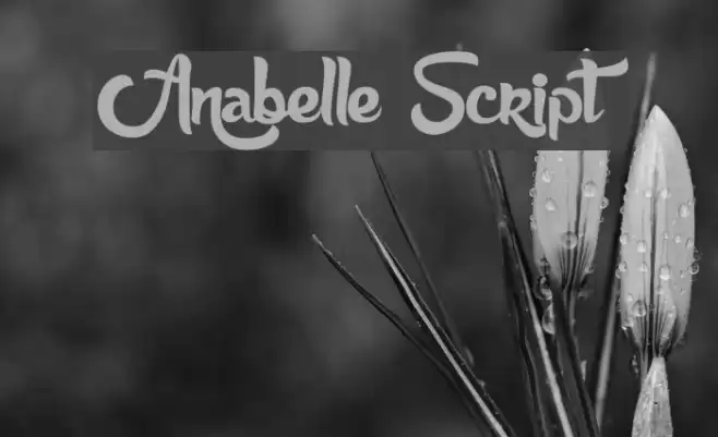 Anabelle Script Font examples