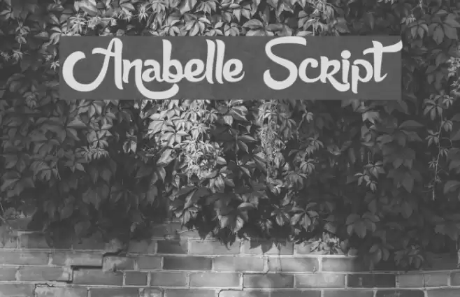 Anabelle Script Font examples