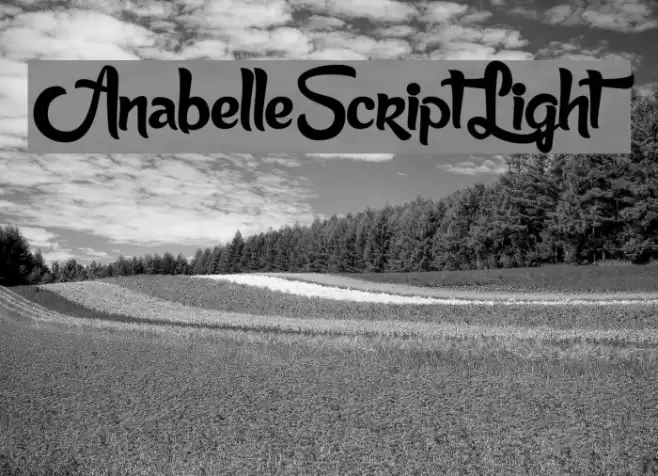 AnabelleScriptLight Font examples