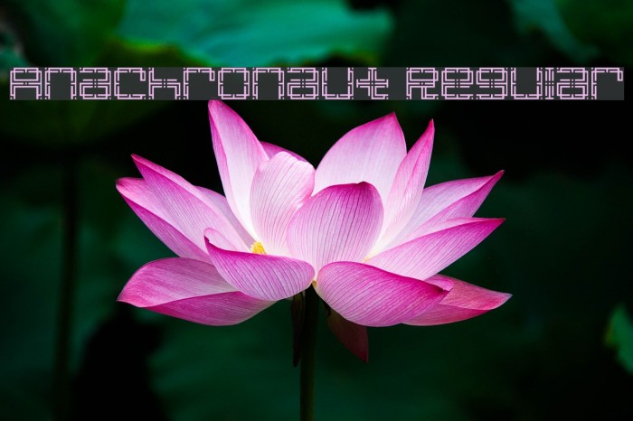 Anachronaut Regular Example 3