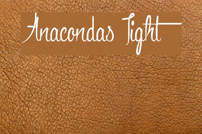 Anacondas Light Example 1