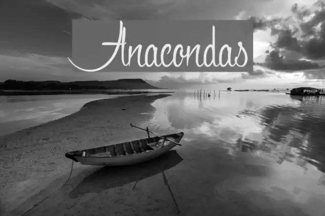 Anacondas Font examples