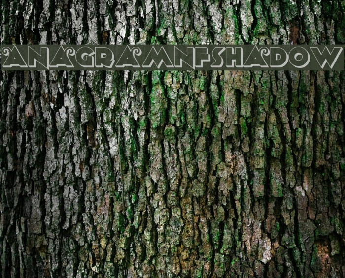 AnagramNFShadow Font examples