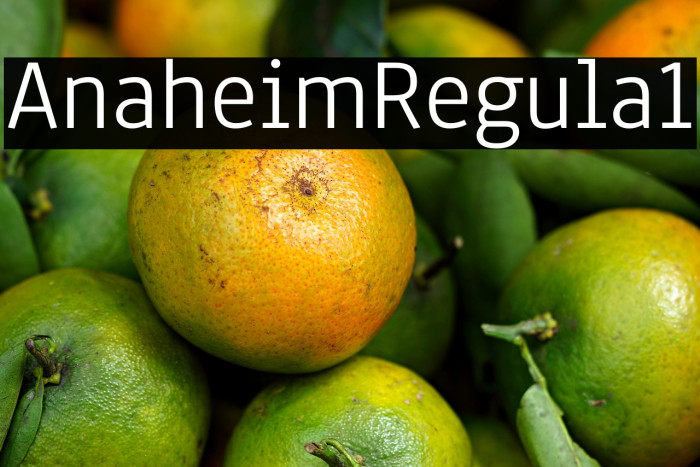 Anaheim Regular1 Example 1