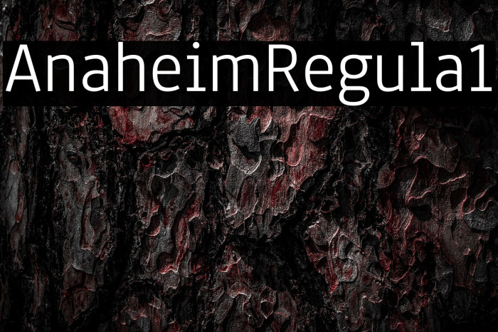 Anaheim Regular1 Example 2