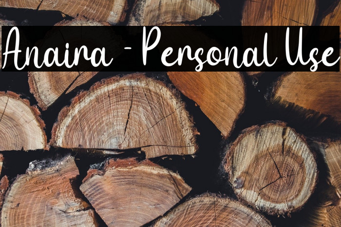 Anaira - Personal Use Example 1