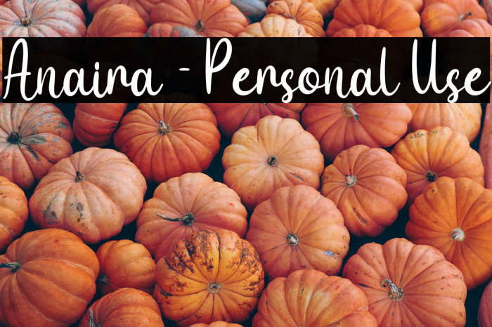 Anaira - Personal Use Example 3