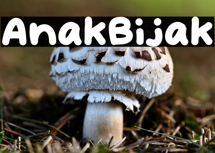 Anak Bijak Example 2