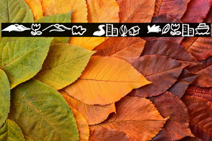 Anak Cute Bonus Example 1