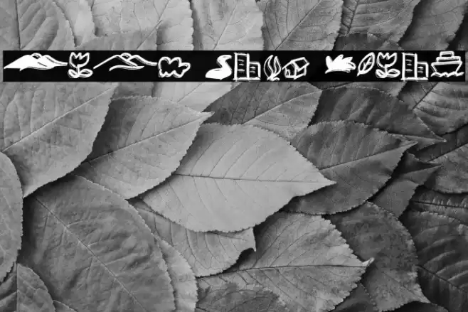 Anak Cute Bonus Font examples