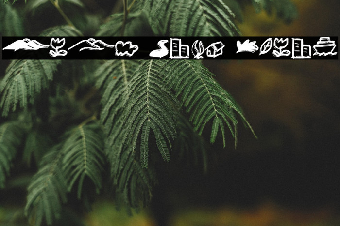 Anak Cute Bonus Example 2