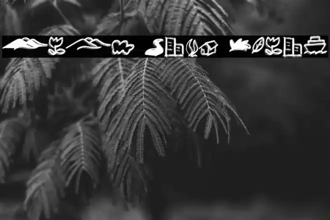 Anak Cute Bonus Font examples