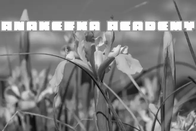 Anakefka Academy Fonte examples