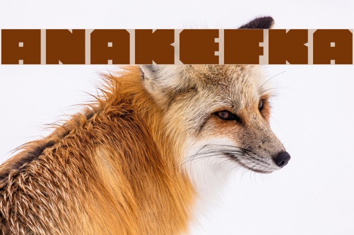 Anakefka Font examples