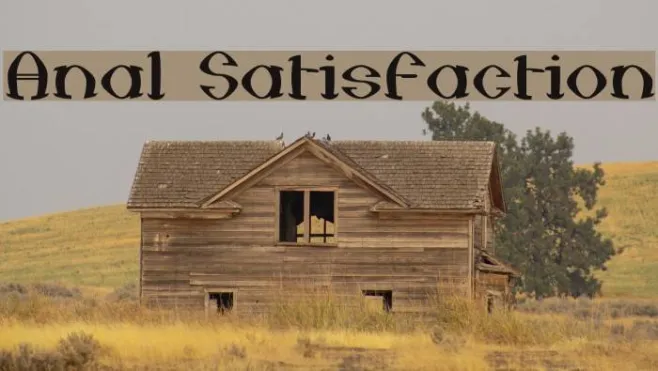 Anal Satisfaction Example 2