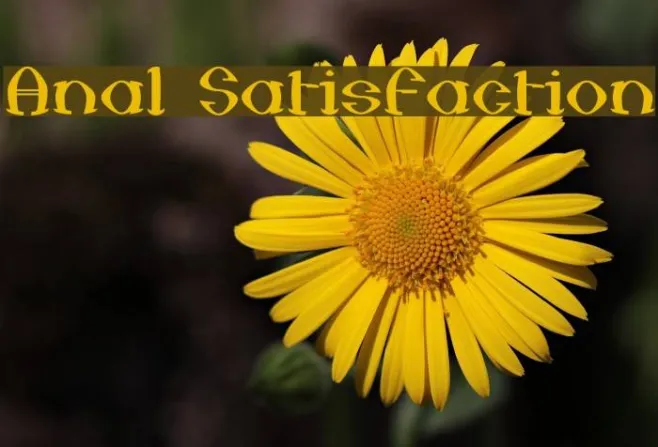 Anal Satisfaction Example 3