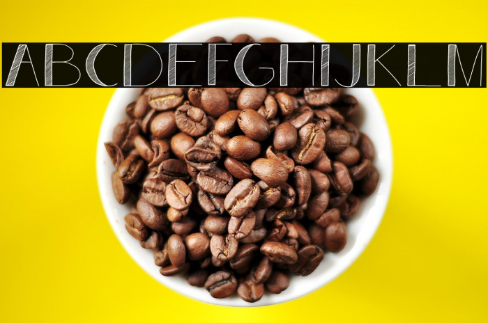 Analeigh Demo Example 1